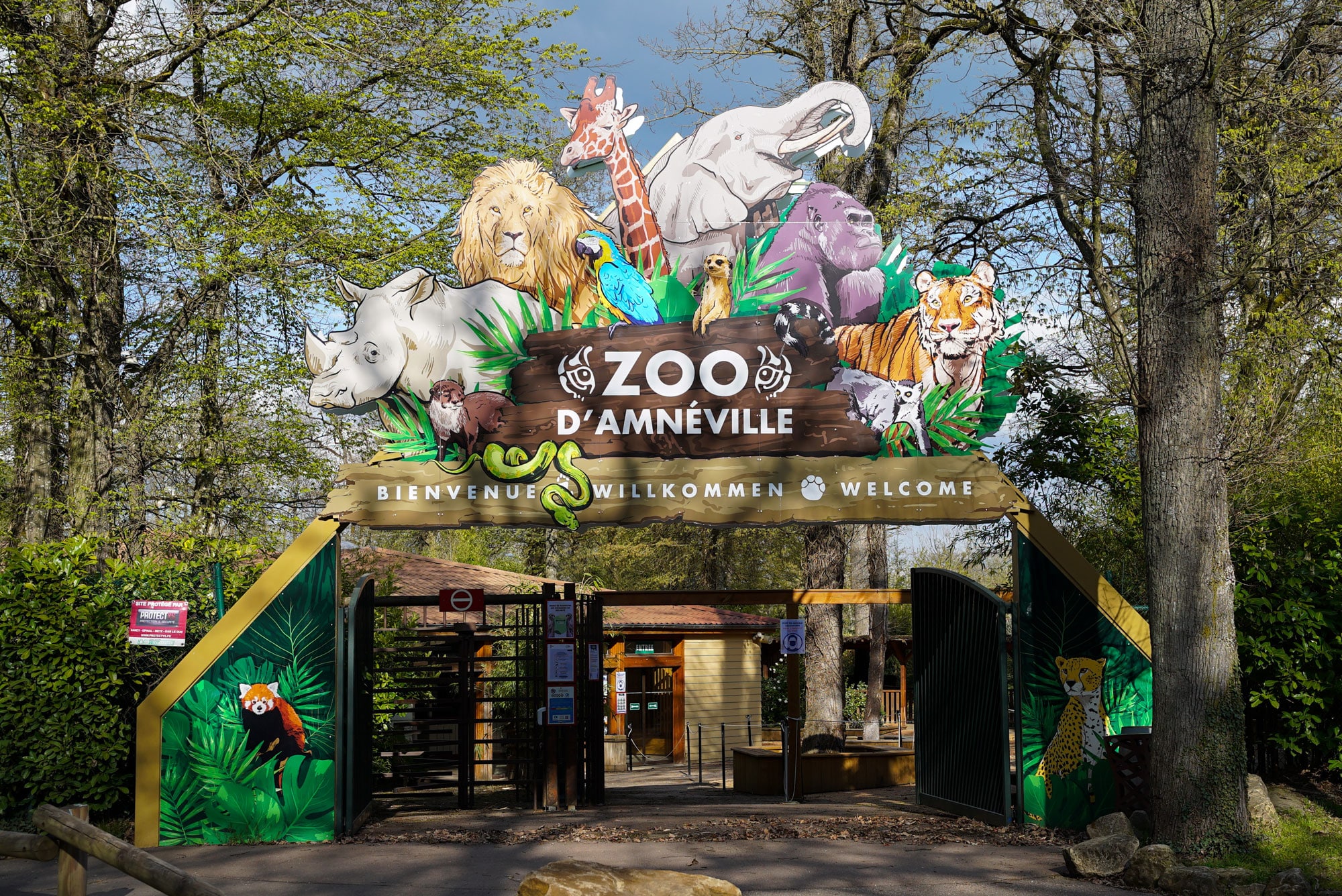 sortie-de-groupe-amnéville-zoo